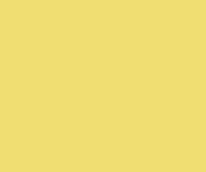 Toastmasters Brand Color Yellow